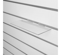 F141 Полка 250х100мм