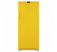 Холодильник для хранения медицинских отходов класса Б Бирюса 2502