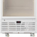 Шкаф Бирюса холодильный фармацевтический 450S-R