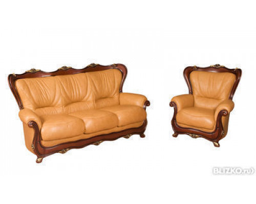Комплект мебели Роза Диван и кресло