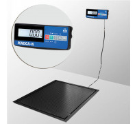Весы 4D-PMF-12/10-1000-A(RUEW) электронные платформенные врезные до 1000 кг