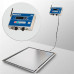Весы 4D-PMF.S-12/10-1000-AB(RUEW) электронные платформенные врезные до 1000 кг