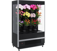 Холодильная горка для цветов Carboma FC20-08 VM 2,5-2 FLORA (9006-9005)