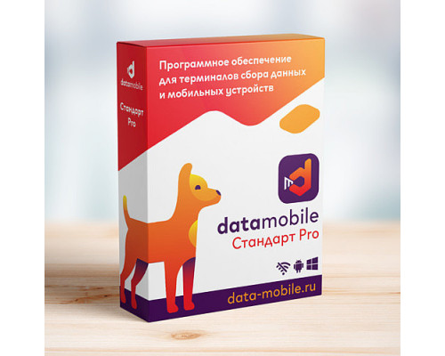 Приложение DataMobile Стандарт Pro