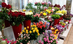 холодильное оборудование для цветов